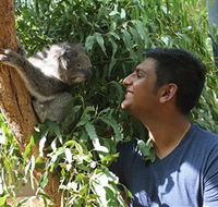 Healesville Sanctuary - Palm Beach Accommodation