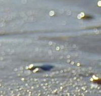 Cape Liptrap Coastal Park - Palm Beach Accommodation