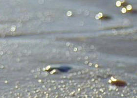 Cape Liptrap Coastal Park - Palm Beach Accommodation 0