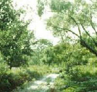 Holey Plains State Park - Palm Beach Accommodation
