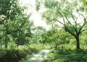 Holey Plains State Park - Palm Beach Accommodation 0