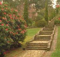 Maroondah Reservoir Park - Palm Beach Accommodation