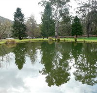 Mountain Fresh Trout and Salmon Farm - Palm Beach Accommodation