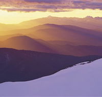 Alpine National Park - Palm Beach Accommodation