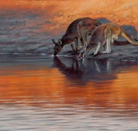Steve Morvell Wildlife Art - Palm Beach Accommodation