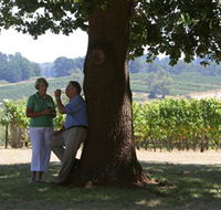 Five Oaks Vineyard - Palm Beach Accommodation