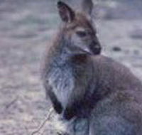 Churchill National Park - Palm Beach Accommodation