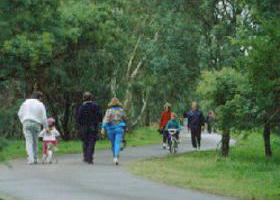 Birrarrung Park - Palm Beach Accommodation 0