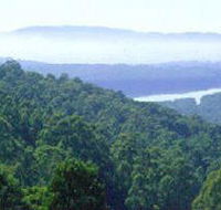 Kalorama Park - Palm Beach Accommodation