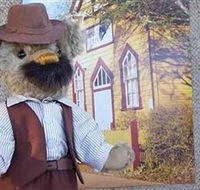 Stanley Bears - Palm Beach Accommodation