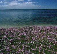 The Lakes National Park - Palm Beach Accommodation