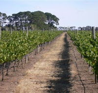 Mount Beckworth Wines - Palm Beach Accommodation