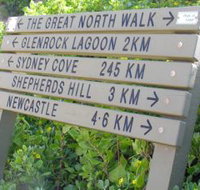 Great North Walk - Palm Beach Accommodation