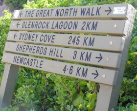 Great North Walk - Palm Beach Accommodation 0