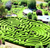 Wandiligong Maze - Palm Beach Accommodation