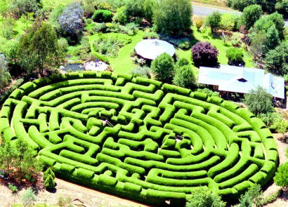 Wandiligong Maze - Palm Beach Accommodation 0