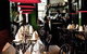 Duke Bistro - thumb 0