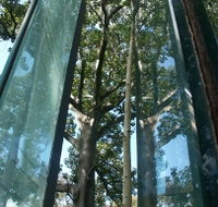 Sydney Sculpture Walk - Palm Beach Accommodation