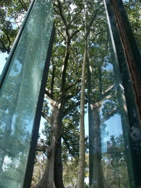 Sydney Sculpture Walk - Palm Beach Accommodation 0