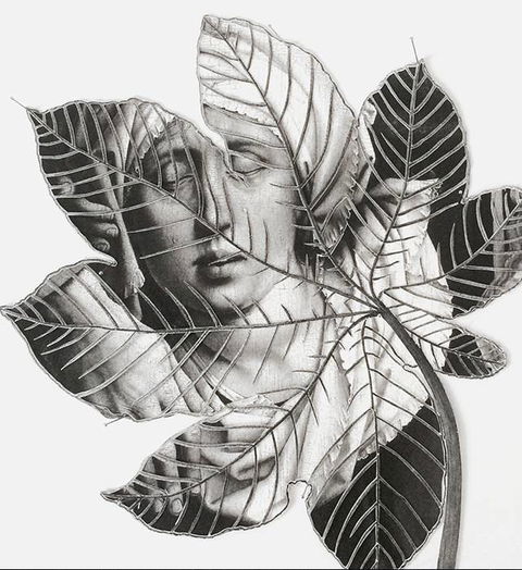 Wollongong Art Gallery - Palm Beach Accommodation 2