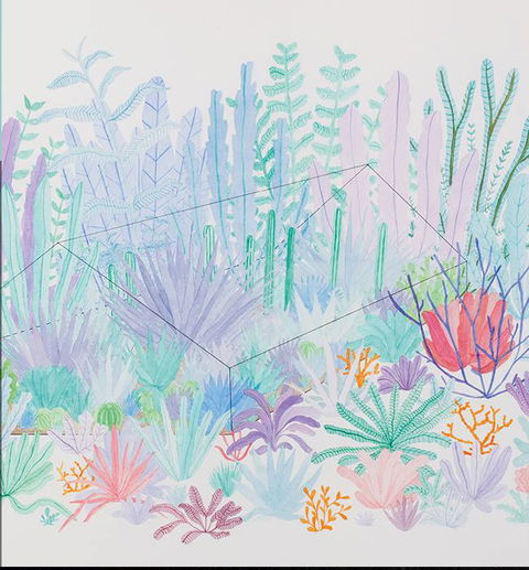 Wollongong Art Gallery - Palm Beach Accommodation 3