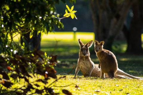 Club Catalina - Palm Beach Accommodation 2