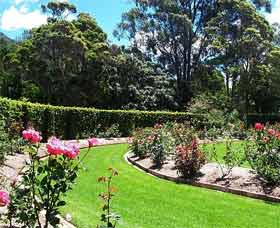 Wollongong Botanic Garden - Palm Beach Accommodation 0