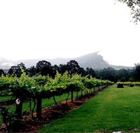 Cambewarra Estate Wines - Palm Beach Accommodation