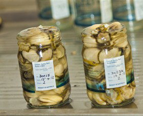 Broadwater Oysters - Palm Beach Accommodation 0