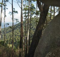 Gulaga National Park - Palm Beach Accommodation