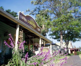 Central Tilba NSW Palm Beach Accommodation