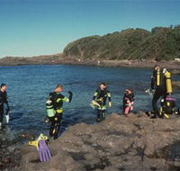 Bushrangers Bay Aquatic Reserve - Palm Beach Accommodation