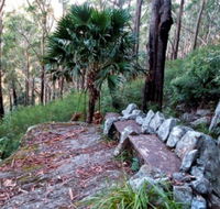 Wodi Wodi Walking Track - Palm Beach Accommodation