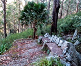 Wodi Wodi Walking Track - Palm Beach Accommodation 0