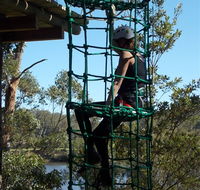 Trees Adventure Shoalhaven - Palm Beach Accommodation