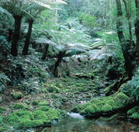Deua National Park - Palm Beach Accommodation
