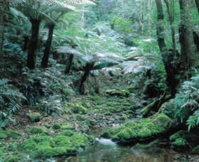 Deua National Park - Palm Beach Accommodation 0