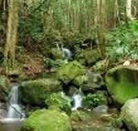 Budderoo National Park - Palm Beach Accommodation