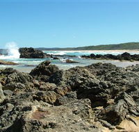Coastal Walks - Bermagui - Palm Beach Accommodation