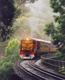 Cockatoo Run - Scenic Tour Train Operated By 3801 Limited - Palm Beach Accommodation 0