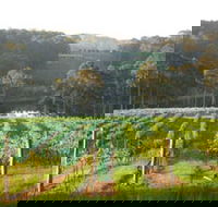 Tilba Valley Wines - Palm Beach Accommodation