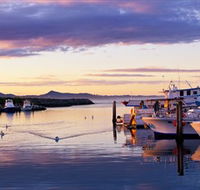 Bermagui Fishermens Wharf - Palm Beach Accommodation