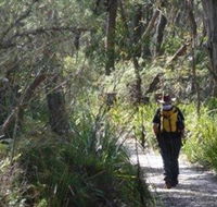 Barren Grounds Nature Reserve - Palm Beach Accommodation