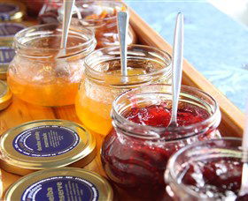 South Coast Providores - Palm Beach Accommodation 0