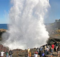 Kiama Blowhole - Palm Beach Accommodation