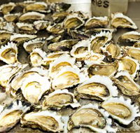 Wheelers Oysters - Palm Beach Accommodation