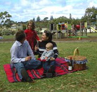 Blackbutt Forest Reserve - Palm Beach Accommodation