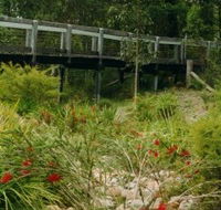 Eurobodalla Botanic Gardens - Palm Beach Accommodation