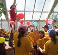 Futureworld Eco Technology Centre - Palm Beach Accommodation