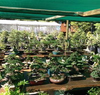 Bonsai at the Bay - Palm Beach Accommodation